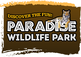 10% Off Storewide at Paradise Wildlife Park Promo Codes